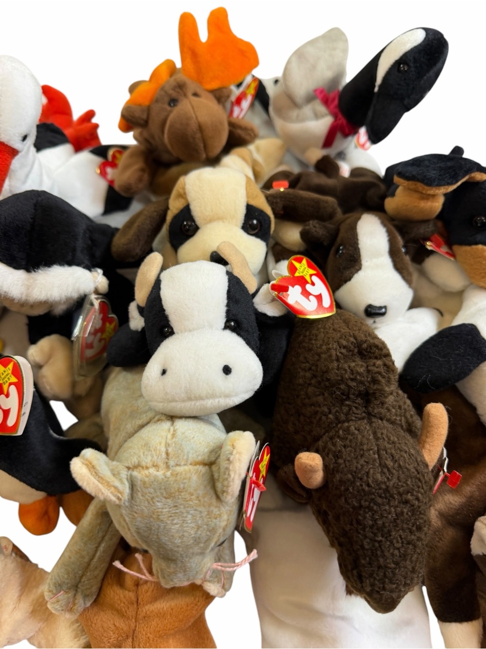 Ty Beanie Babies Assorted Plush Toy Collection - lot of 33 - Picture 9 of 10